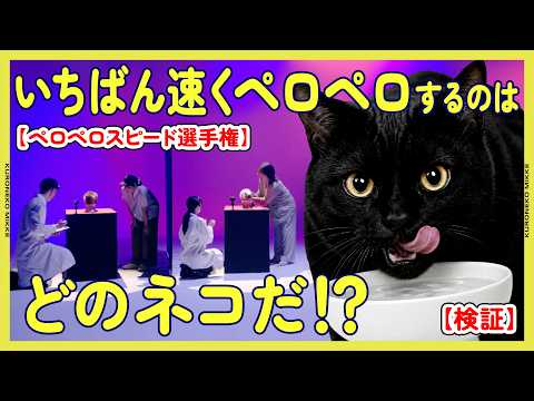 【検証】いちばん速くペロペロするのはどのネコだ！？【ペロペロスピード選手権】