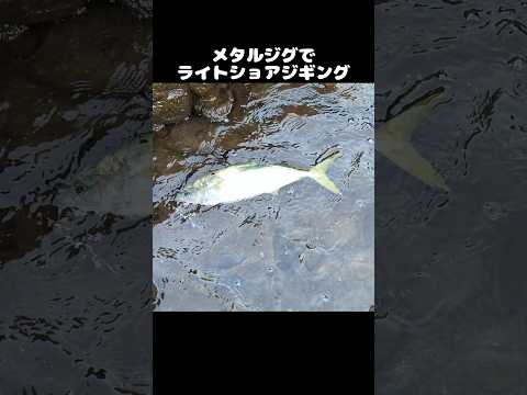 thumbnail_UXsqC2C9e3I