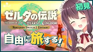 【ティアキン】自由な世界で寄り道大好き！初見【ゼルダの伝説ティアーズオブザキングダム 女性実況 VTuber なちゅモカ】149