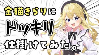 【ドッキリ】リスナーに紛れてボイチェンしてトークイベントに参加してみた。【Vtuber 金猫きらり｜神乃ひかり】