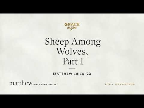 Sheep Among Wolves, Part 1 (Matthew 10:16–23) [Audio Only]