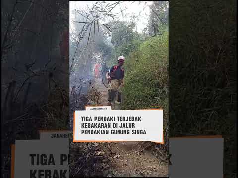 Tiga Orang Pendaki Terjebak Kebakaran di Jalur Pendakian Gunung Singa