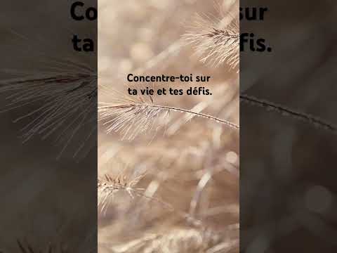 Ta vie, tes défis #citation #proverbes #motivation #mindset #concentration #estimedesoi #ytshorts
