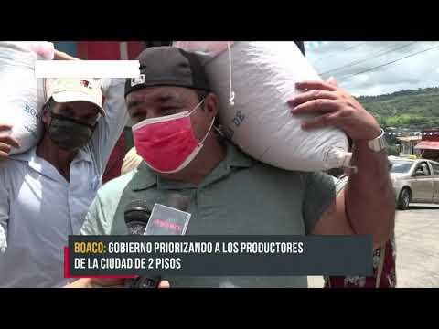 Entregan semillas de frijol a productores en Boaco - Nicaragua