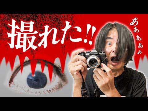 【必ず撮れる！】カメラでオーブの写真を撮影する方法 スマホでも撮れる【心霊写真？スピリチュアル？】