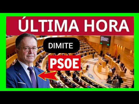 #ÚLTIMAHORA - SECRETARIO PSOE IBIZA - DIMITE