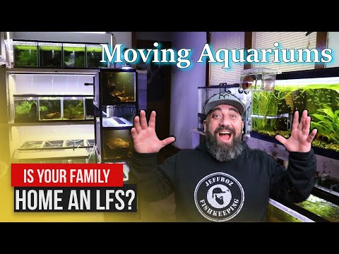 Is your Home like a Fish Store? Thanks for stopping by my channel. In Today's video we start breaking down fishtanks at the old hous
