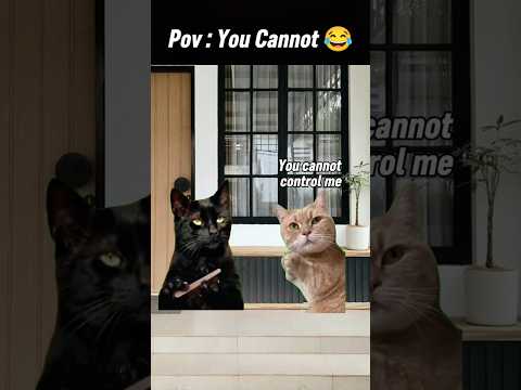 Pov : You Cannot Control me 😁 #memes #cat #dog #pets #shorts