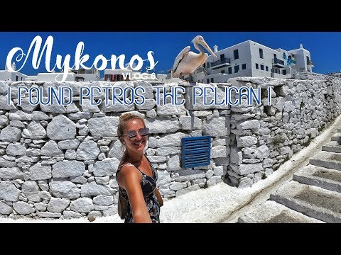 Meeting Petros the Pelican in Mykonos – Vlog 6