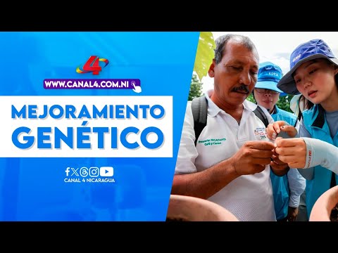 INTA y Corea promueven mejoramiento genético de ajonjolí en Nicaragua