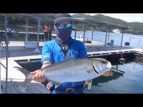 渾身のカンパチバスもち！最強高水温に打ち勝つ術！【福寿丸】釣ガチ海上釣堀#208