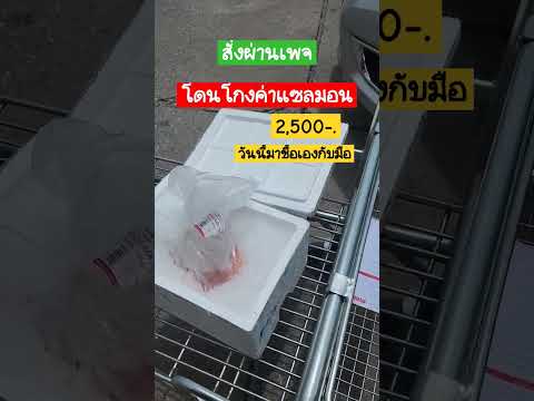 โดนโกงค่าแซลมอนผ่านเพจไป2,500ว