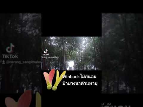 พายุกระหน่ำยางนา พายุกระหน่ำยางนา