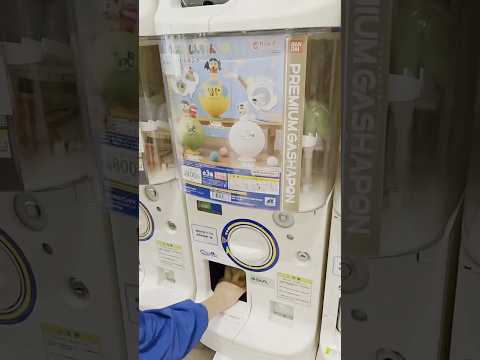 What I’ve Got from this Premium Crayon Shinchan Gashapon Machine?! #shorts #premium #gotcha
