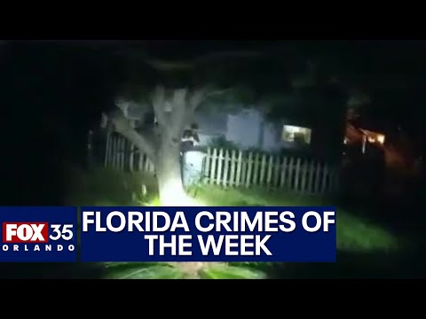 Florida Crimes of the Week: Man shoots at police after his neighbor calls 911