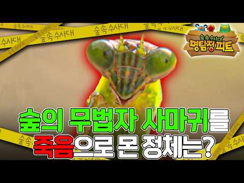 ｜명탐정 피트｜<strong>키즈</strong>｜[EBS놀이터]