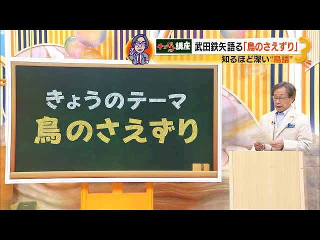 Image of How a Japanese Researcher Proved That Birds Use Words