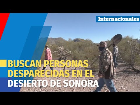 MÉXICO | Grupos buscan personas desaparecidas en el desierto de Sonora