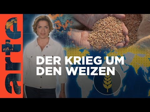 Ernährungsunsicherheit: Der Krieg um den Weizen | Mit offenen Karten - Im Fokus | ARTE