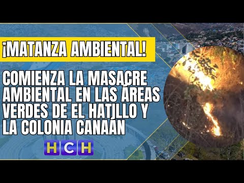 Comienza la masacre ambiental en las áreas verdes de El Hatillo y la colonia Canaán