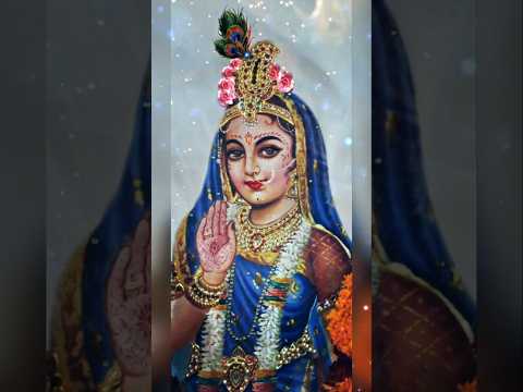 Jai Jai Shree Radhe 🙏🏼🥀#virdavan #radharaman#radhakrishna #treanding #viralreel