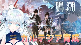 【#鳴潮】朝活！カルテジアちゃん育成！#31【初見さん大歓迎/Vtuber】