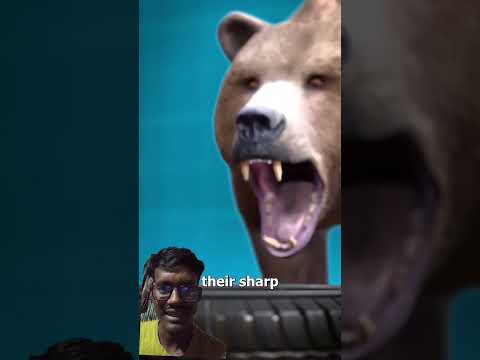 Grizzly jaw strength😮