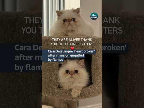 Cara Delevingne’s house destroyed and engulfed in flames #itvnews #news #caradelevingne