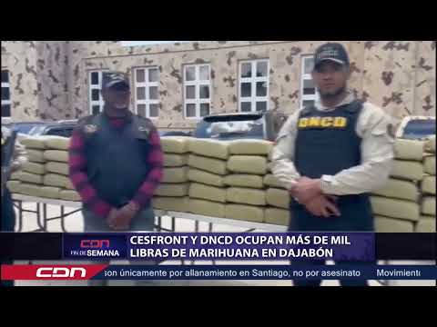 Cesfront y DNCD ocupan más de mil libras de marihuana en Dajabón