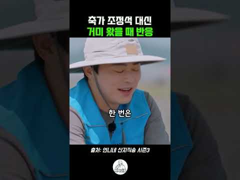 <strong>조정석</strong> 축가 대신 거미 왔을 때 반응