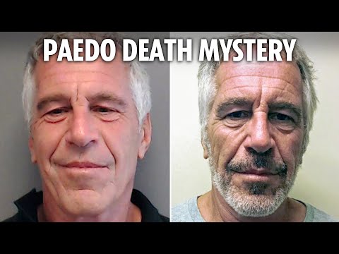 I came face-to-face with Jeffrey Epstein - telltale signs have me convinced he DIDN'T kill himself