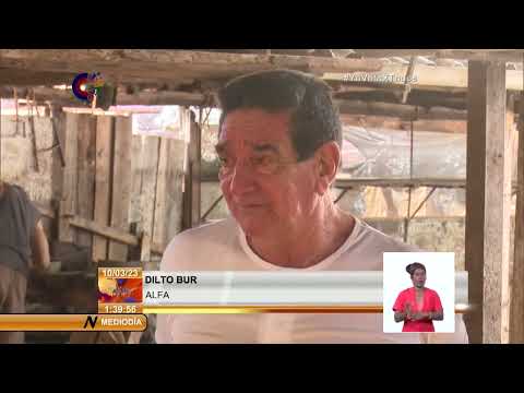 Cuba: Las Tunas se destaca en la elaboración de materiales de la construcción