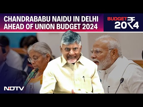 Budget 2024 | Chandrababu Naidu In Delhi Ahead Of Union Budget, May Seek More Funds For Andhra