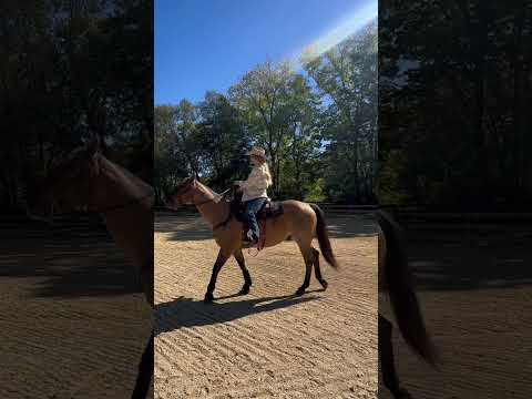 Every time I hear this song, I just want to live it out - thankful to be #backinthesaddle again 🙏🏻