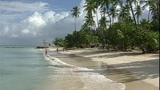 The Caribbean Island of Tobago