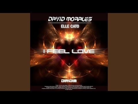 I Feel Love (Extended Mix)