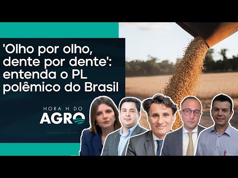 Projeto de Lei do Brasil quer punir Europa na 'mesma moeda' | HORA H DO AGRO