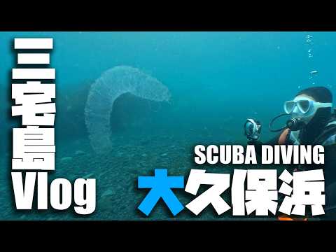 巨大タコペア 巨大サルパ 巨大オニヒトデ