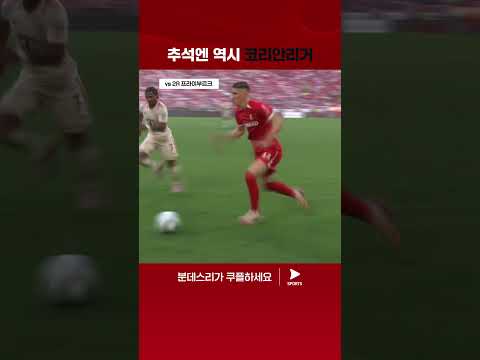 '코리안 몬스터' 김민재의 24-25 활약상 | 분데스리가 | 바이에른 뮌헨