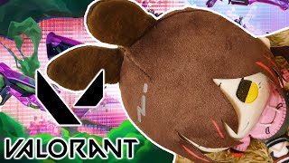 【 VALORANT 】新シーズン！！新スキンが可愛すぎてまいります🐰XX　【ホロライブ/ ロボ子さん】