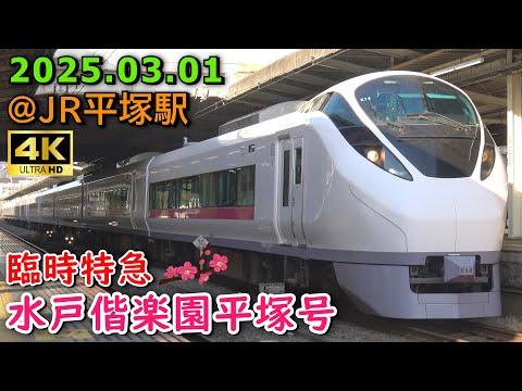 【平塚始発】E657系 臨時特急「水戸偕楽園平塚号」勝田行き JR平塚駅にて 2025.03.01