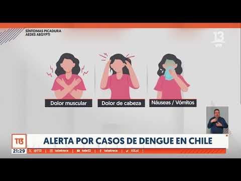 Alerta por casos de dengue en Chile