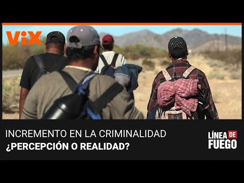 ¿La llegada de migrantes ha incrementado la criminalidad en Estados Unidos? Lo debatimos