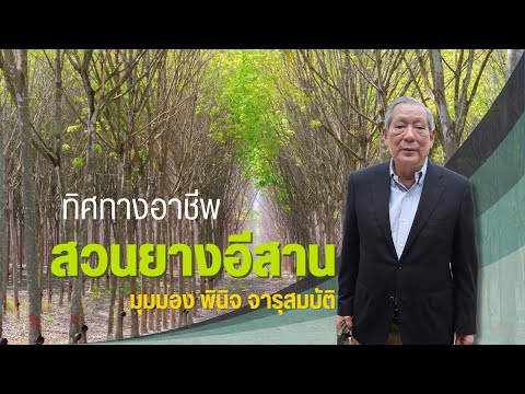 ต้นไม้และสวนทีวี Tonmai   Suan TV ทิศทางอาชีพสวนยางภาคอีสานมุมมองพินิจจารุสมบัติ:ยางปาล์ม