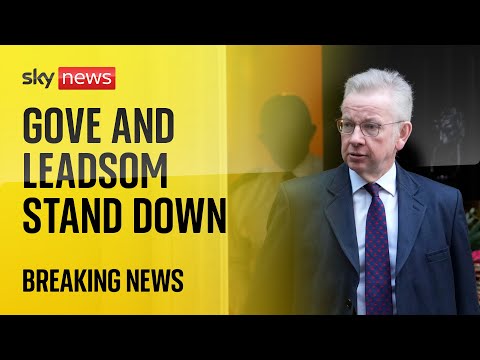BREAKING: Andrea Leadsom and Michael Gove announce they are standing down at the general election