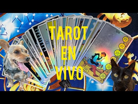 Tarot gratis ahora #tarotendirecto #tarot #lecturadetarotgratis #horoscopo