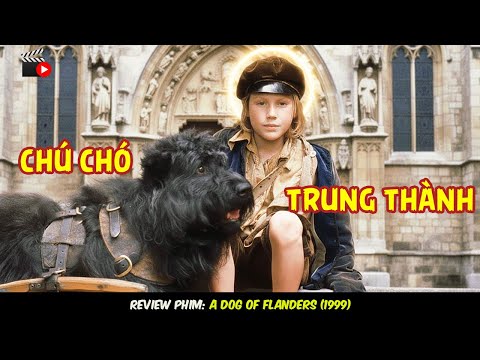 [Review Phim] A Dog of Flanders – Câu Chuyện Khiến Triệu Người Rơi Nước Mắt.
