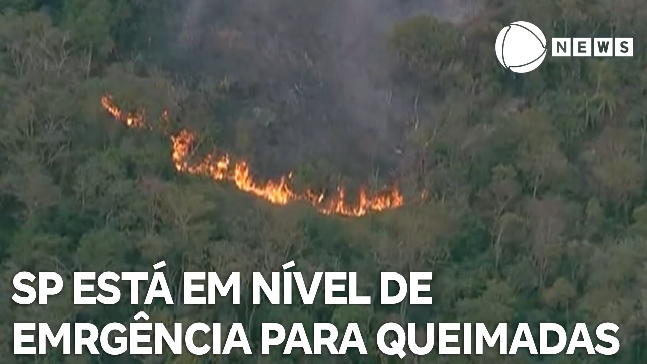Estado de SP está em nível de emergência para queimadas