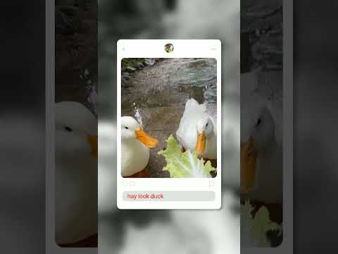 I want to have it all😍💯