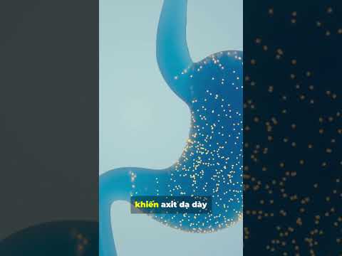 Tại sao KHÔNG NÊN ăn " quá no" #dinhduong #suckhoetot #antoan #songlanh #wellness